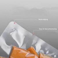 Sacs d'Emballage en Plastique Scellables Haute Température de Qualité Alimentaire Usine Chinoise, Scelleuse Claire de Sacs Sous Vide Retort pour Stockage Alimentaire