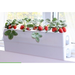 Macetas para Cultivo sin Suelo en Balcón, Equipo Hidropónico para Vegetales, Caja <span class=keywords><strong>de</strong></span> Cultivo para <span class=keywords><strong>Fresas</strong></span>, Macetas para Flores - Product Image 3
