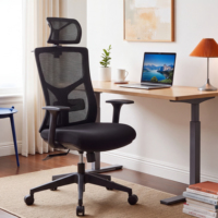 Chaise de bureau de direction ergonomique en maille pivotante avec appui-tête réglable, tissu moderne et durable, base en plastique