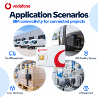 Carte SIM Vodafone 4G LTE GSM IoT, itinérance mondiale dans 200 pays, suivi GPS des véhicules, gestion de flotte, suivi des actifs en temps réel, PC