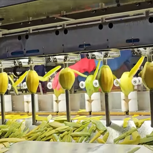 มะม่วงอบแห้งแบบนิ่มของเวียดนามขนมหวานจำนวนมากสำหรับผู้นำเข้าอาหารทั่วโลกร้านค้าปลีกและบริษัทขนมขบเคี้ยว - Product Image 1