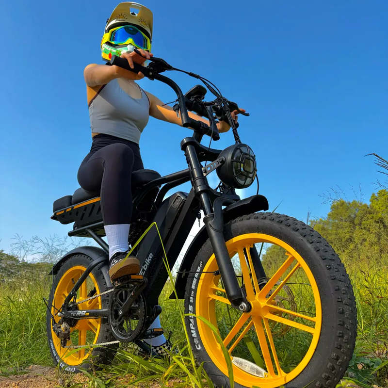 TST R9 Electric Bike for Adults