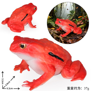 yxs Modello Animale Selvatico di Madagascar, Giocattolo per Bambini, Simulazione Foresta Tropicale, Anton Gilly Rosso - Product Image 5