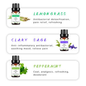 Coffret Cadeau d'Huiles Essentielles d'Aromathérapie Biologiques 6/10ML - Lavande, Menthe Poivrée, <span class=keywords><strong>Citronnelle</strong></span>, Bois de Santal, Sauge, <span class=keywords><strong>Géranium</strong></span> - Product Image 4