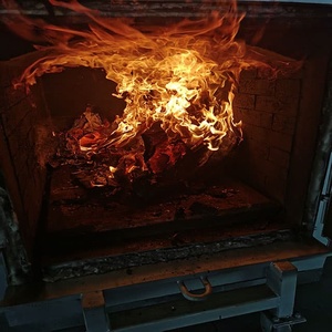 Incinerador de Residuos Médicos Sin Humo de 300 KG, Utilizado para la Eliminación de Residuos Médicos - Product Image 6