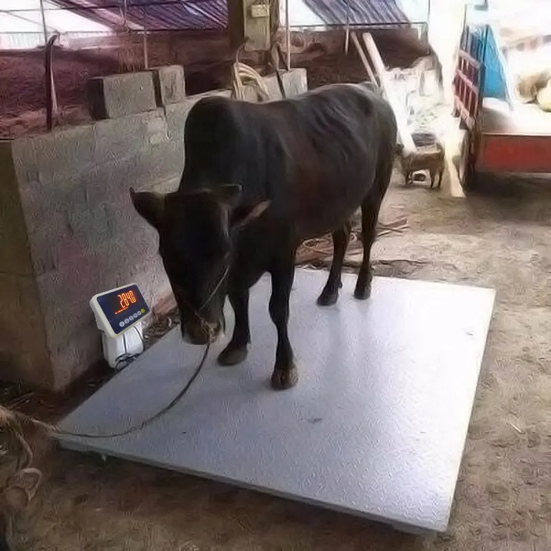 Весы для взвешивания животных 500 кг свиной 1000 кг весы для скота для пастбищ