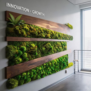 Panneaux muraux décoratifs en mousse naturelle préservée, écologiques, insonorisants et durables, personnalisés en usine, <span class=keywords><strong>pour</strong></span> les bureaux, les halls d'entrée et les logos d'entreprise - Product Image 6