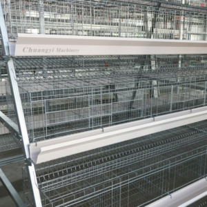Volautomatisch A-Type Batterij Kippenkooi Stalen Gaas Met Legsysteem En Eierverzameling Voor De Pluimveehouderij - Product Image 5