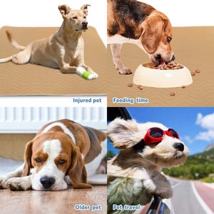 <span class=keywords><strong>Tapis</strong></span> de pipi pour <span class=keywords><strong>chien</strong></span> personnalisé et écologique, réutilisable, <span class=keywords><strong>lavable</strong></span>, étanche et antidérapant, <span class=keywords><strong>tapis</strong></span> de dressage pour chiot - Product Image 5