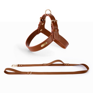 Luxuriöses Hundegeschirr- und Leinenset aus Rindsleder für Katzen und Hunde, Ausbruchsicher, Haustierleinen und Halsbänder, Hundeleine aus Leder - Product Image 1