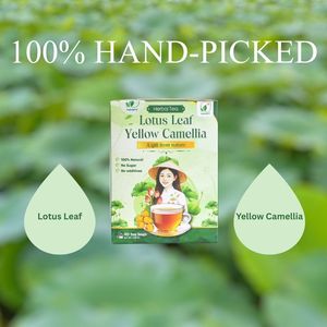 Mélange de tisanes premium NMPT : Feuilles de lotus séchées à froid et fleurs de camélia jaunes, sachets de thé de 2g, 40 sachets, boisson santé - Product Image 2