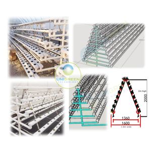 Sistemi di Coltivazione Idroponica Verticale NFT Tipo A, Rack di Coltivazione Idroponica Verticale per Serre e Ortaggi - Product Image 2