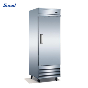 Refrigerador Comercial de Doble Puerta para Cocina de Restaurante, Refrigerador con Descongelación Automática Dwl-1321wsxu(cfd) - Product Image 4