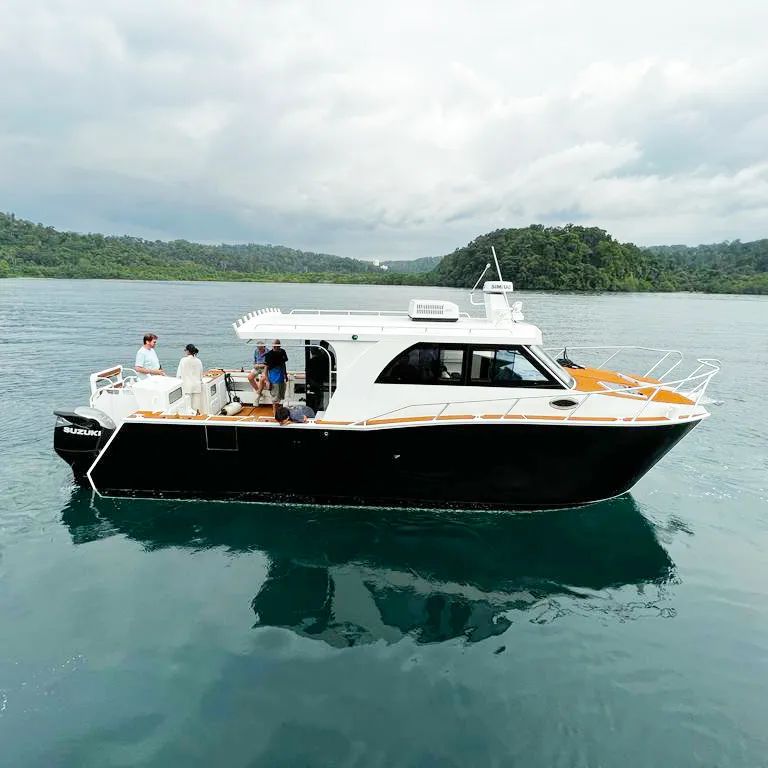 2024 Allsealion High Quality Catamaran 8-11m Cabin Aluminum Fishing Boat for Sale in China