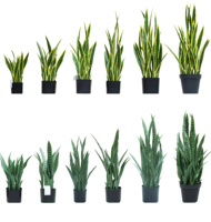 Kleine Bonsai Zimmerpflanzen Künstliche Topfpflanzen Kleine Plastik Tropische Grünpflanzen Künstliche Aloe Vera Pflanze
