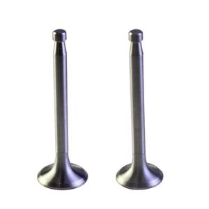 Valve d'échappement pour 2 roues Diesel, pièces de rechange, en acier inoxydable, pour Danyang, Fenghuang, fenix, R170f, 170F - Product Image 1