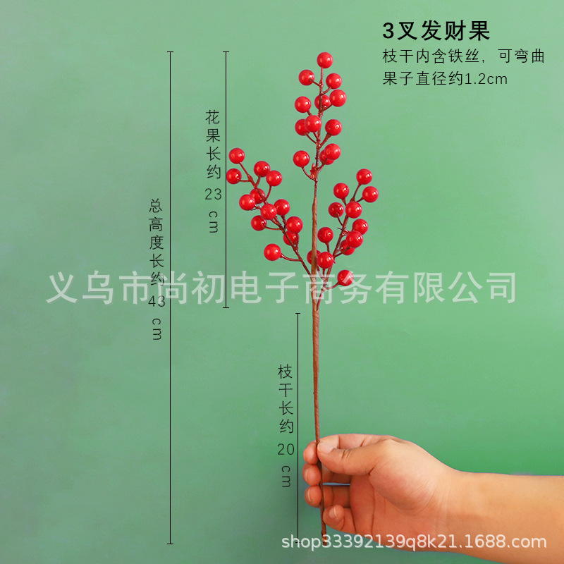 ผลไม้นำโชค 3 แฉก