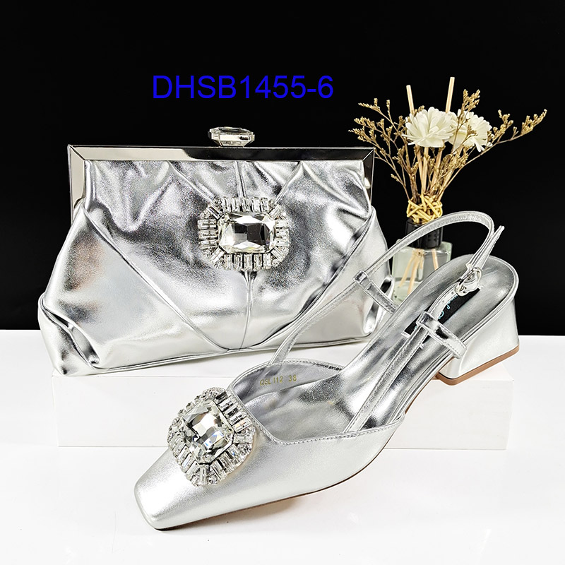 DHSB1455-6 SILVER