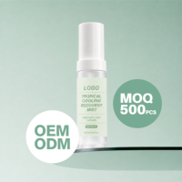 Brume Rafraîchissante Visage OEM ODM Réparatrice Après-Soleil Hydratante Apaisante et Revitalisante – Marque Privée