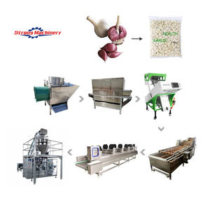 La línea de producción automática de ajo de alta eficiencia incluye la máquina clasificadora de pelado de frutas y verduras - Product Image 1