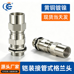 QG Metal Nickel Plated Brass Cable Gland Pg Thread 20-75mm IP68 Waterproof Industrial Armor Cable Connector - Product Image 4