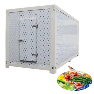 Movable Portable Cold Room Condensing Unit Cooling System/movable Cold Storage Container Provided Customize Mobile Restaurant