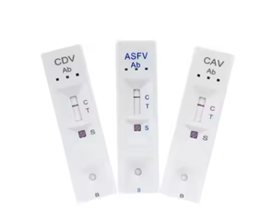 개 CDV Ab/Ag 애완 동물 개 디스템퍼 검출 동물 CDV Ab 신속 테스트 키트에 대한 수의 클리닉 진단 테스트 키트 - Product Image 3