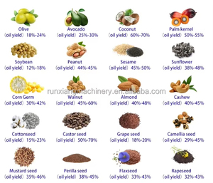 New Style Automatic <b>Oil</b> <b>Press</b> <b>Machine</b> Cold Hot Pressing High Capacity for Olive - Product Image 6