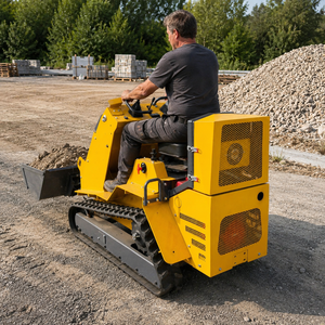 <span class=keywords><strong>Minicargadora</strong></span> barata con certificación EPA y CE, recortadora de setos, <span class=keywords><strong>minicargadora</strong></span>, mezcladora de hormigón, cargadora de orugas en venta - Product Image 1
