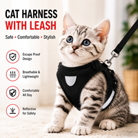 Ensemble Harnais et Laisse pour Chat en Maille, Réglable, Anti-Évasion, pour la Promenade et les Voyages