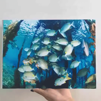 Art mural en acrylique imprimé UV en couleur personnalisée Panneau d'affichage imprimé photo en acrylique Lucite en plexiglas Panneau mural
