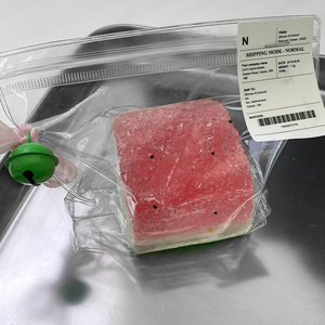 Hot Bán Nhỏ Mới Lạ Trò Chơi Dưa Hấu Squishy Đồ Chơi Căng Thẳng Cứu Trợ <span class=keywords><strong>Fidget</strong></span> Cho Trẻ Em/Người Lớn - Product Image 1