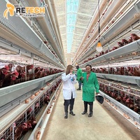 Système de cages à volailles automatiques de type H, capacité 30 000 oiseaux, avec collecte des œufs, pour élevages de poules pondeuses à grande échelle