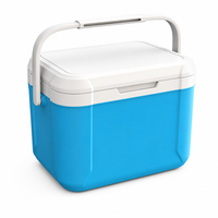 Glacière isotherme 5,5 L en PE, PP et polyuréthane, portable pour voiture, camping, barbecue, vente ambulante, pique-niques, maintien de la glace 24-48 heures