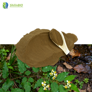 Extrait de plantes extrait d'Epimedium extrait d'Epimedium <span class=keywords><strong>Macun</strong></span> poudre 20% Lcariin CAS 489 - Product Image 2