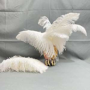 Vente directe d'usine, plumes d'autruche de 15 à 80 cm, plumes blanches pour spectacle sur scène, décoration de mariage DIY - Product Image 1
