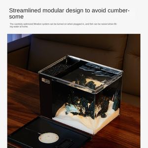YEE Factory Vente en gros Aquarium Nano de 10 gallons en plastique acrylique Mini aquarium pour poissons Betta avec lumière d'aquarium USB et pompe à eau - Product Image 4
