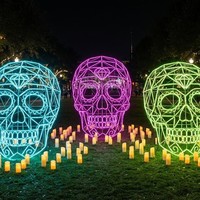 Decoración de Farolillos Grandes Personalizados para el Día de Muertos en México, Uso Interior/Exterior, Espectáculo de Luces para Parques Temáticos