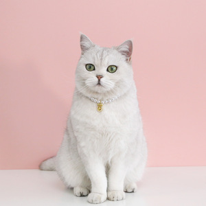 Venta al por mayor de cristal de lujo perro gato <span class=keywords><strong>Collar</strong></span> para Navidad y Halloween - Product Image 4