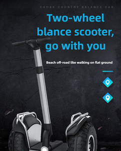 Original Factory Two Wheels Scooter Shipping in USA Warehouse with APP Adult Patrol Balance Car - Product Image 3