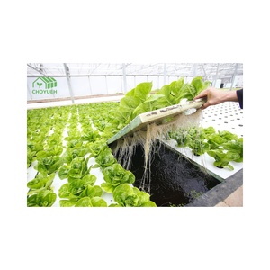 Cchoyueh الأسماك والخضروات المشتركة القائمة aquaponics النظام - Product Image 6
