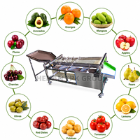 Aangepaste avocado sorteermachine, kersen sorteermachine, fruit sorteermachine voor fruit