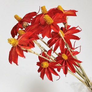 Fleurs d'Althéa séchées en gros, fleurs d'hibiscus séchées naturelles pour la décoration intérieure - Product Image 2