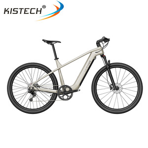 <span class=keywords><strong>Fiido</strong></span> Nomads Touring <span class=keywords><strong>E</strong></span>-<span class=keywords><strong>Bike</strong></span> avec moteur 250W 36V 11.6AH batterie 29 pouces roues capteur de couple frein à disque hydraulique Ebike - Product Image 3