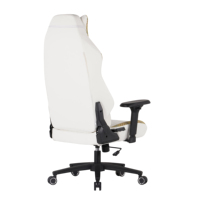 2025 PC mousse moulée combinée chaise en cuir PU gamer avec support lombaire chaise de jeu