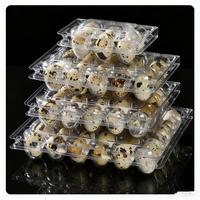 Barquette en plastique pour œufs de caille/dinde, 6, 10, 15, 20, 24, 30 alvéoles, boîte de rangement jetable pour œufs, pour élevages avicoles et supermarchés