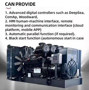 Generatori a turbina a gas da 100kW, 200kW, 300kW, 400kW, 500kW, raffreddati ad aria, monofase, senza spazzole, per biogas/gas naturale/GPL/biomassa/metano/idrogeno - Product Image 2