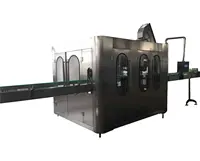Automatic Rinsing Filling Capping