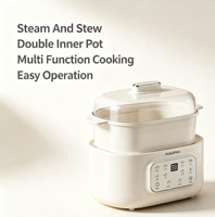 Marmite Électrique Multifonctionnelle à Double Couche avec 2 Cuves en Céramique, Contrôle Numérique, Cuiseur Vapeur Domestique en Céramique
