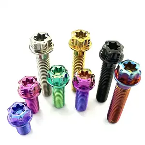 Factory Customizable Gr5 Anodized Colored M3 M4 M5 M6 M7 M8 M10 Bicycle Motorcycle Titanium Screw